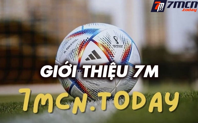 Giới thiệu chelseafcfansclub.com